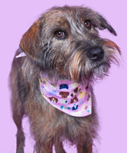Cargar imagen en el visor de la galería, Pañoleta Perros y Gatos Rosa
